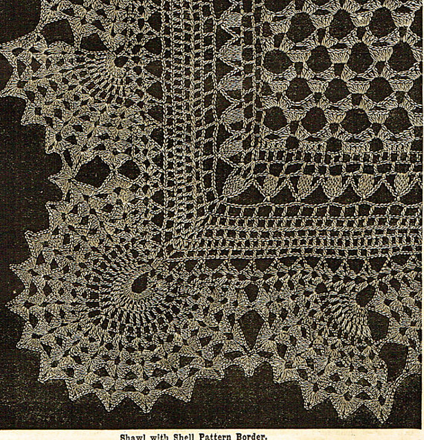 Shawl with Shell Pattern Border