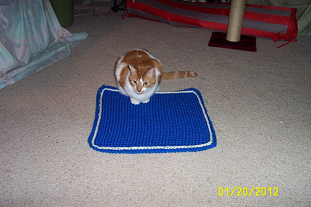 Bee stitch baby blanket