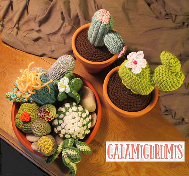 Cactáceas