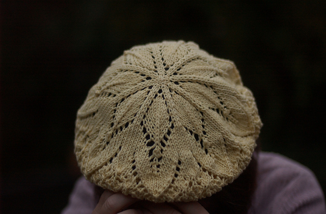 Chrizantema Beret
