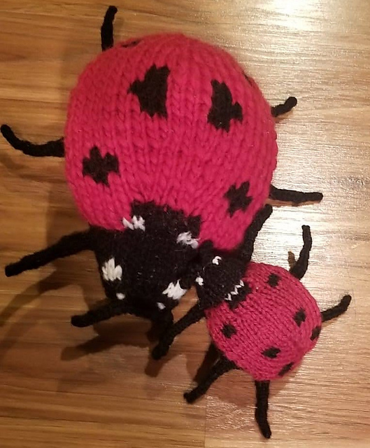 Camellia the Ladybug