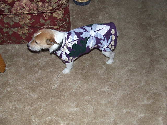 Floral Dog Coat