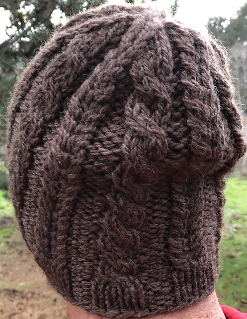 snowy plover hat