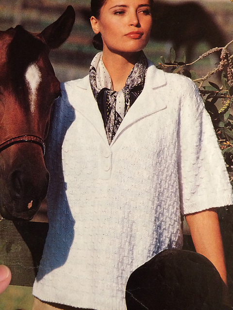 #06 Birdseye Polo