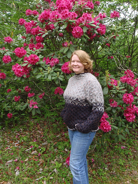 12609 Gerbera (Pullover)