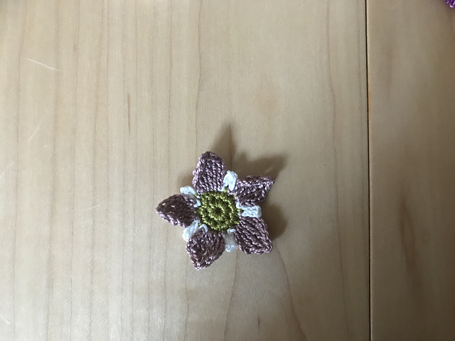 Tea tree blossom