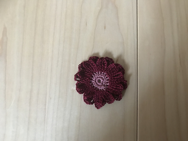 Zinnia