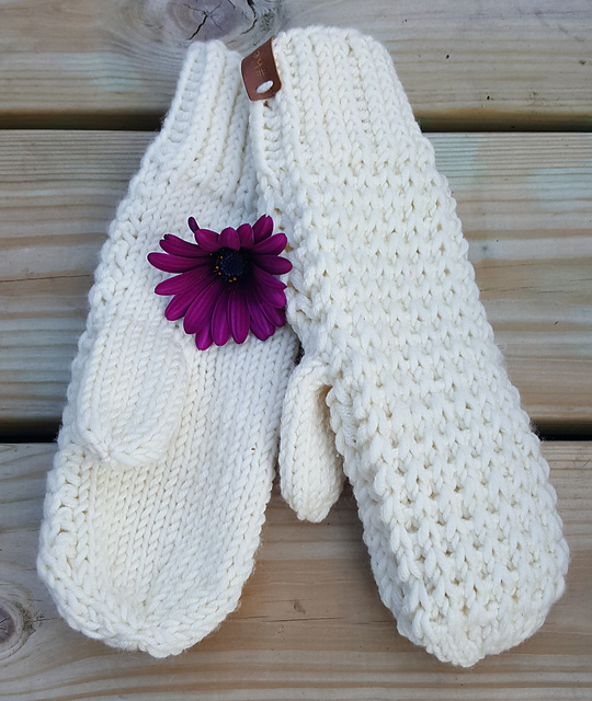 Cactus mittens