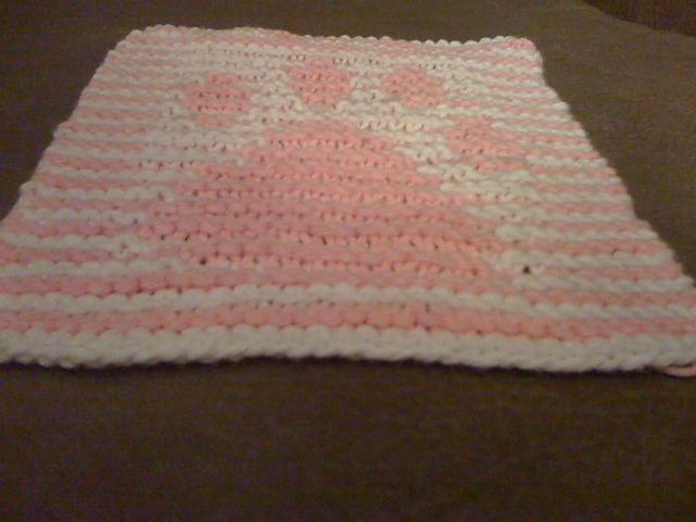 Paw Print Illusion Dishcloth