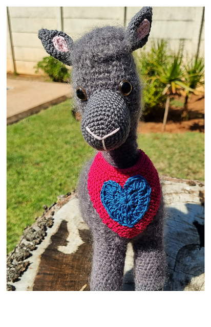 Aiko Alpaca