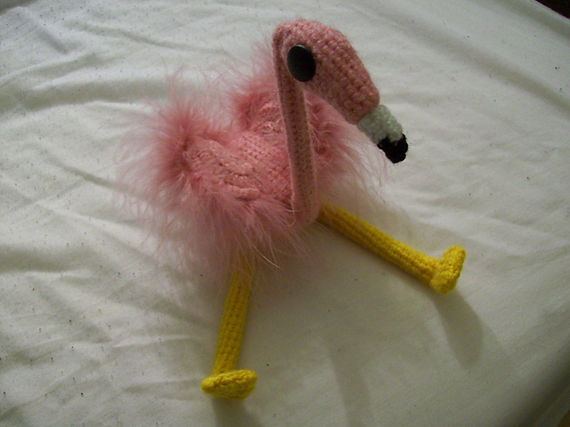 Flora, the Australian Flamingo
