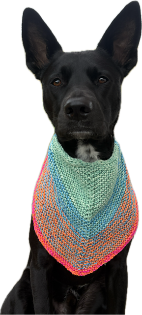 Scintilla Cowl
