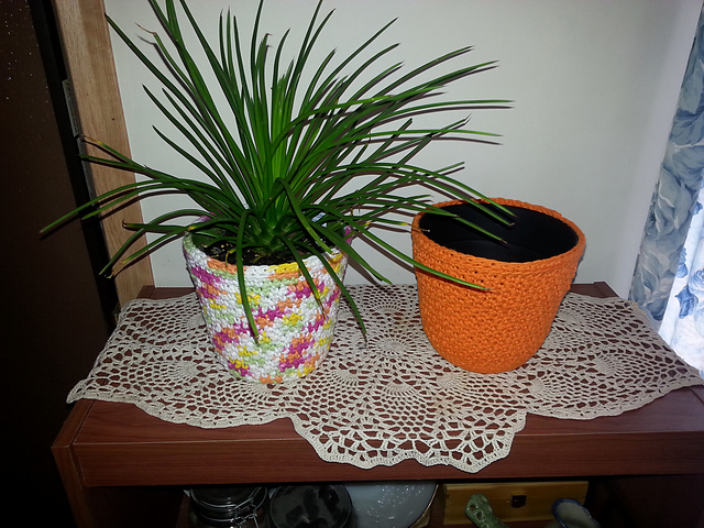 Textured Plant Cozy