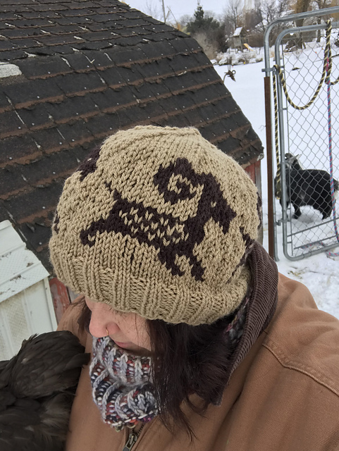 Goat Hat