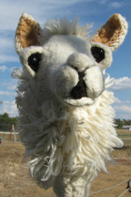 Beth the Stick Llama