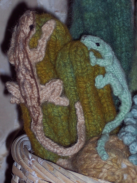 Melissa the Lizard