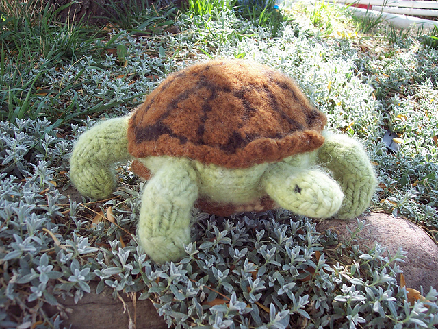 Terrance the Terrapin