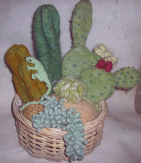 Cactus Dish Garden