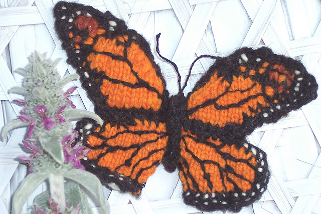 Monarch Butterfly