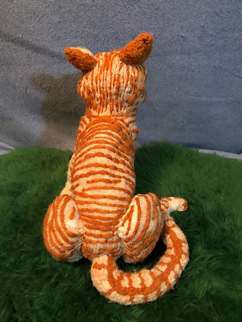 Buddy the Tiger Cat