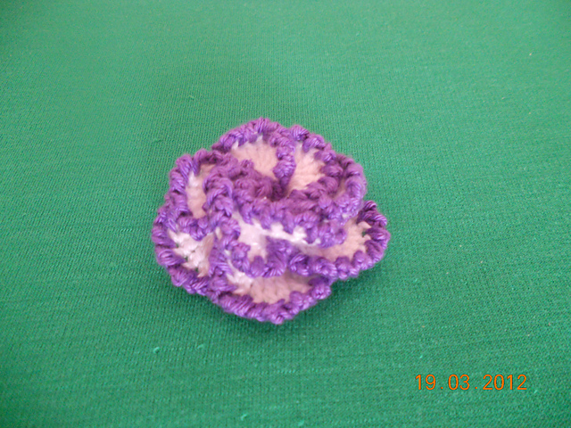 Kinga's Rose