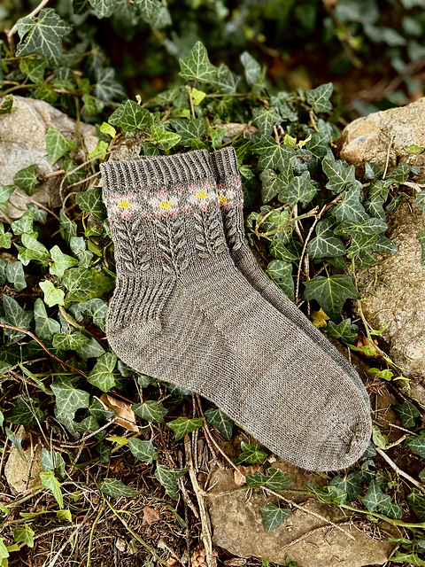 Geranium Socks