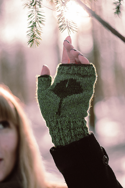 Ginkgo Biloba Mitts