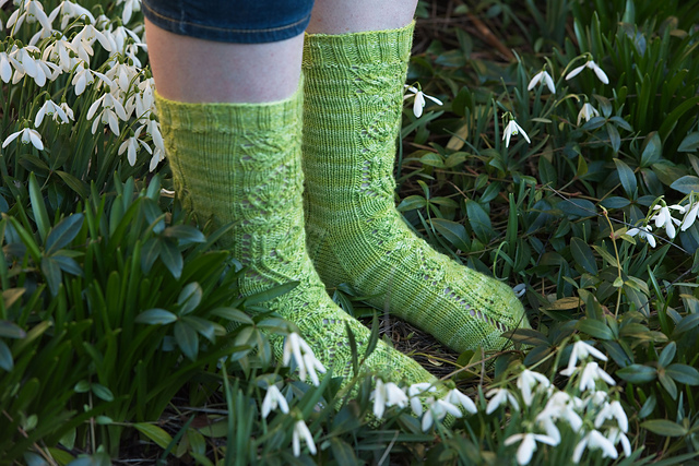 Unfurling Leaves