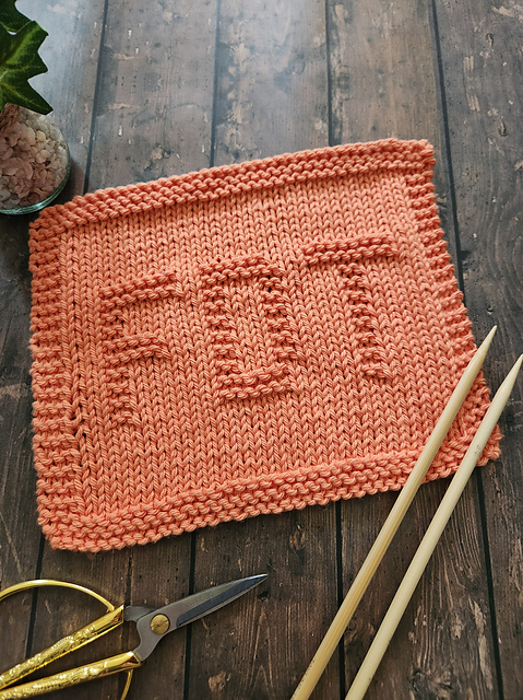 FDT Dishcloth