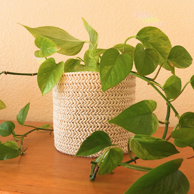 Herringbone Stitch Basket