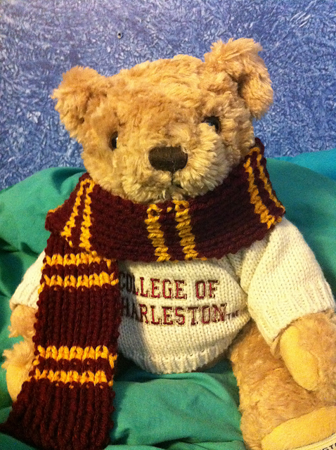 Mini Hogwarts House Scarf/Bookscarf