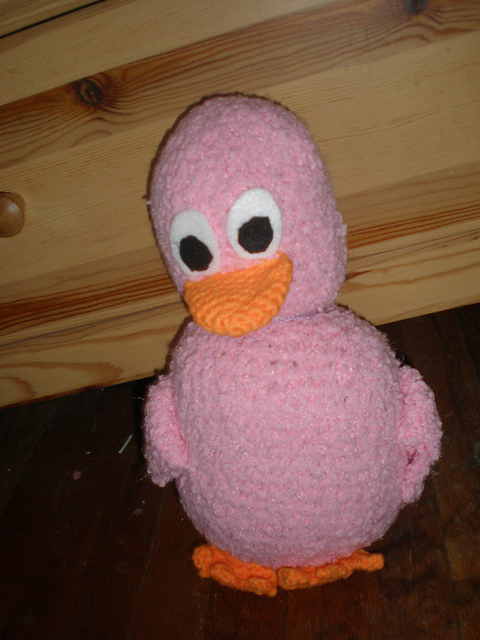 Duck