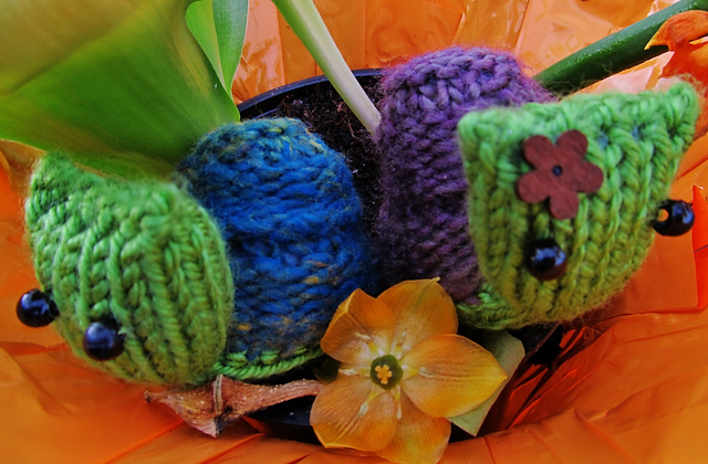 Garden Snails