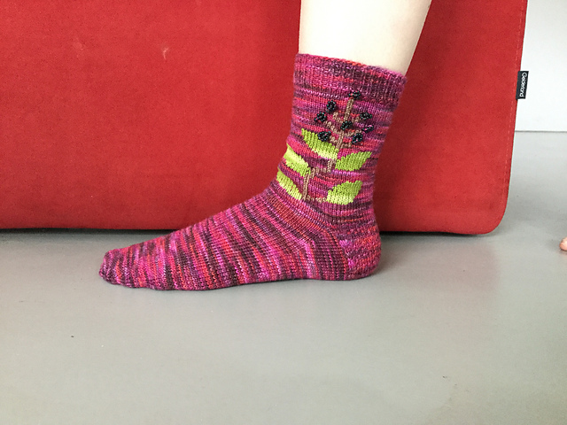 Blackberry Socks