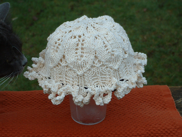 Calyx Baby Hat