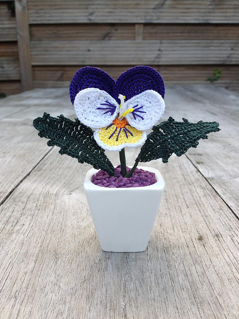 Viooltje