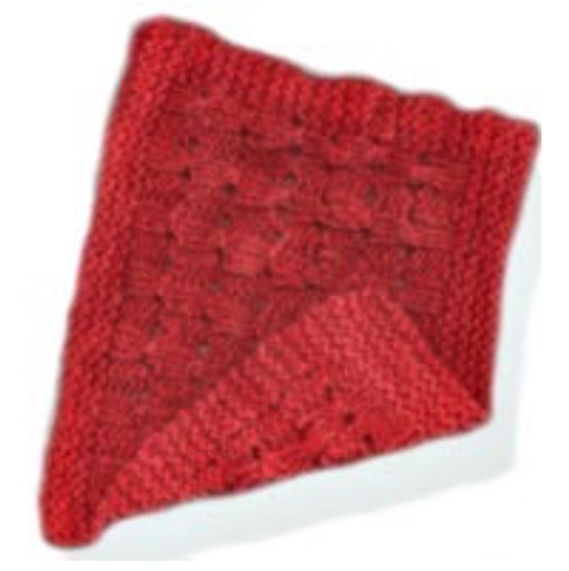 S2K Face Cloth