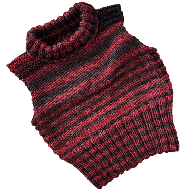 Sleeveless Turtleneck