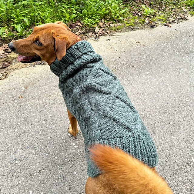 Aran Dog Sweater