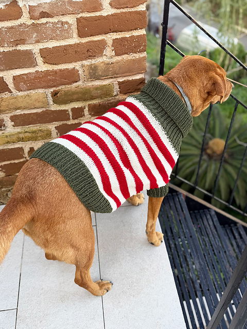 Christmas Elf Dog Sweater