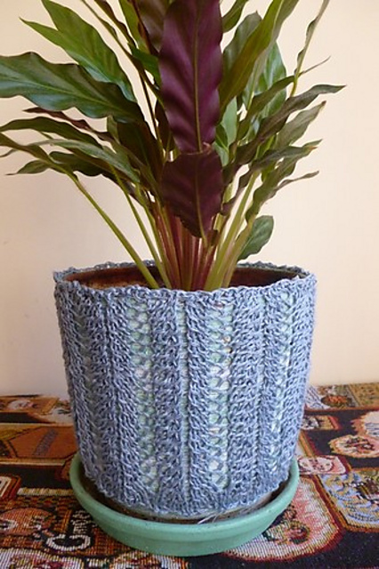 Lace plant cozy