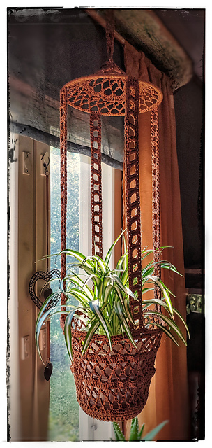 Amppeli / Plant hanger