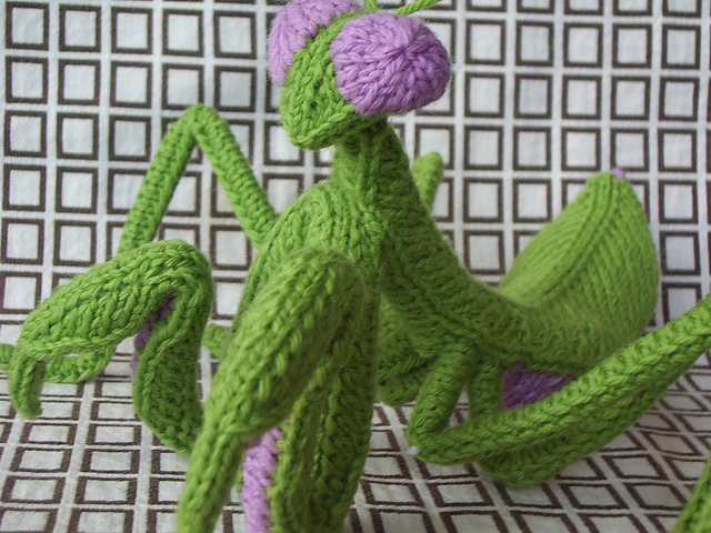 Praying Mantis