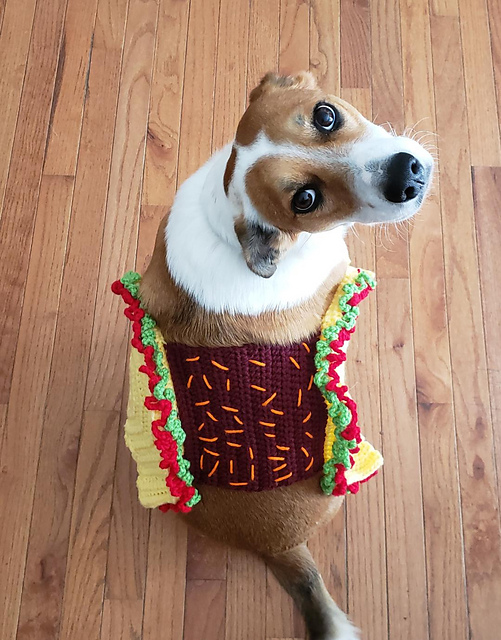 Taco Pet Sweater