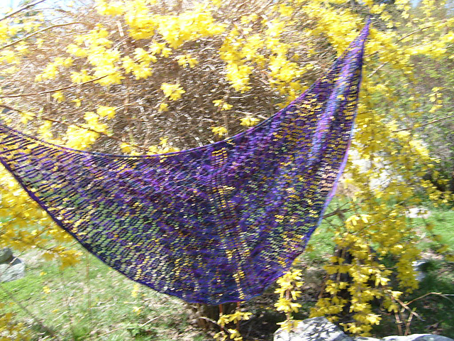 Ruth's Lace Shawlette