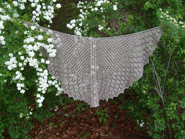 Bunny's Lace Shawlette