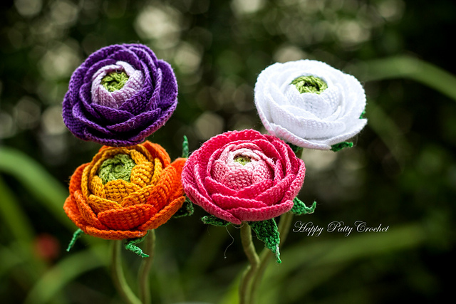 Ranunculus Flower