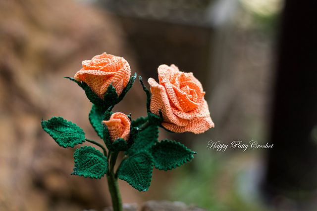 Spray Rose