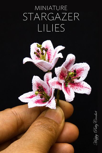 Ravelry: Mini Stargazer Lily pattern by Happy Patty Crochet