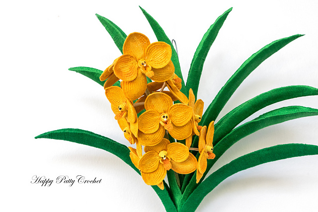 Ascocenda Orchid Flower